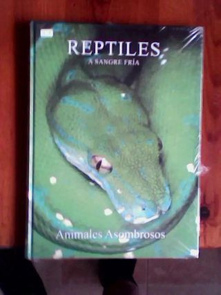 Colección Animales Asombrosos