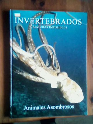 Colección Animales Asombrosos