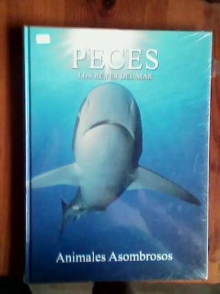 Colección Animales Asombrosos