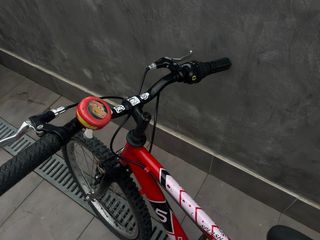 Bicicleta de ciudad o montaña