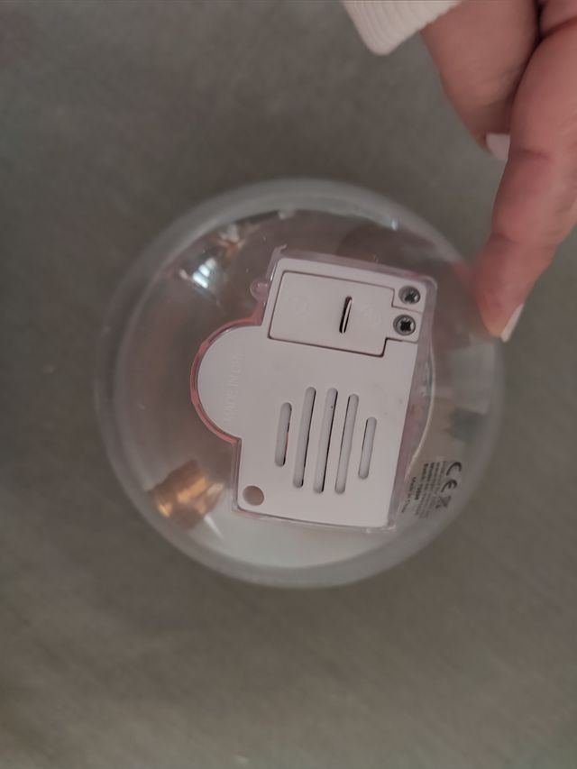 JUGLENDE BASKETBALL TIGER