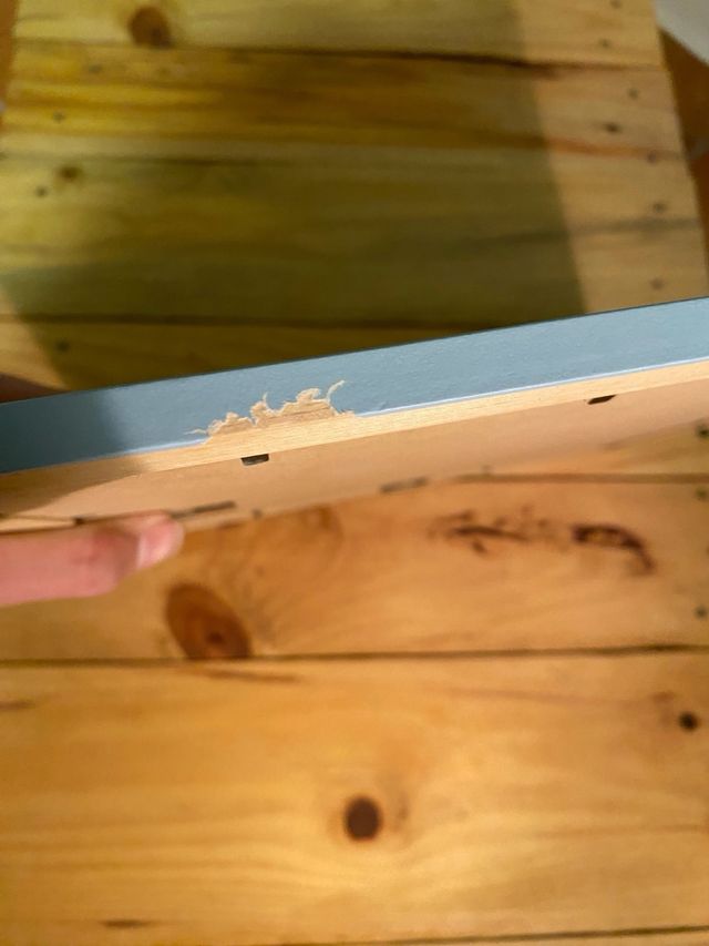 Lote cuatro cuadros animales infantiles