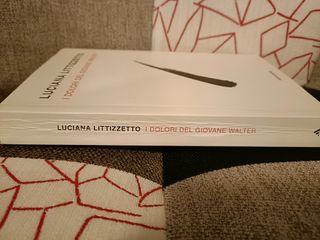 I dolori del giovane Walter