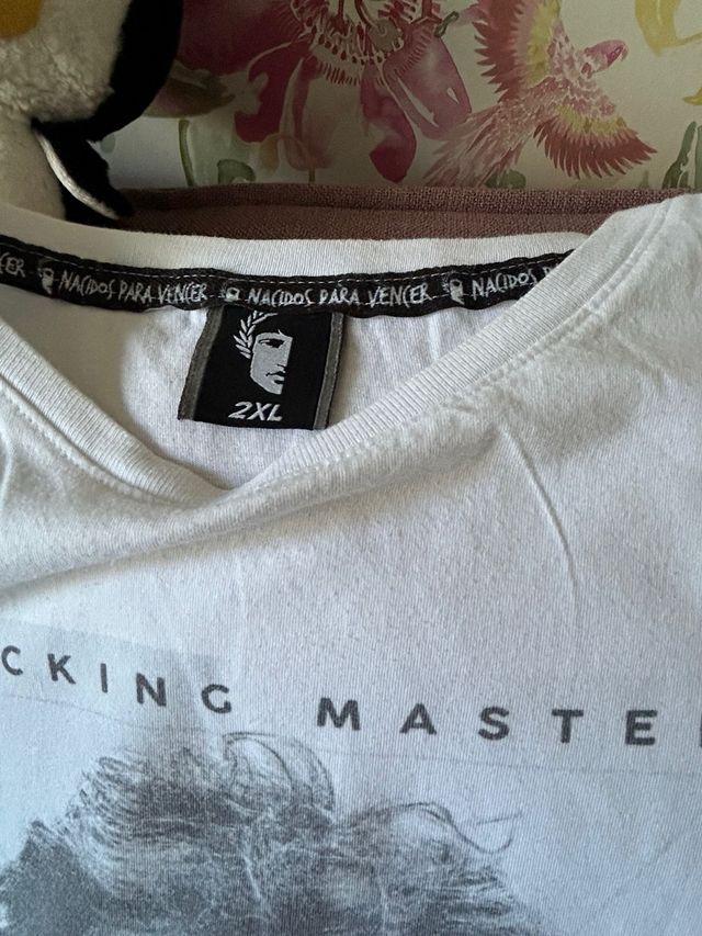 Lote de camisetas de chico