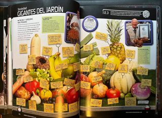 Record Guinness 2012 y 2013. Libros.