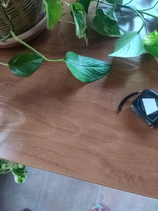 Mesa comedor
