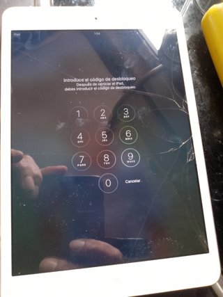 Ipad mini A1432