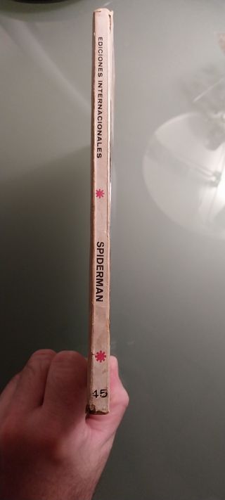 Spiderman patrulla X