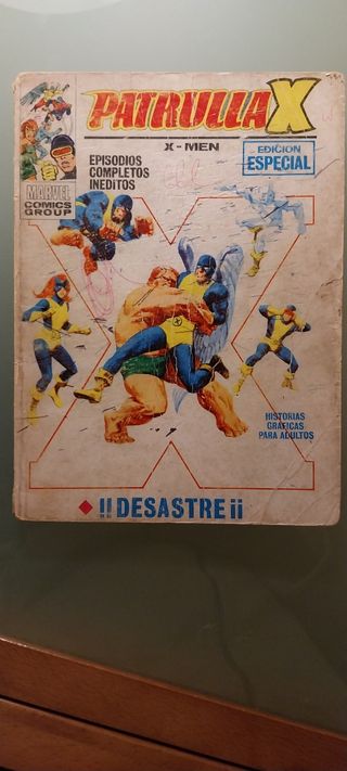 Spiderman patrulla X