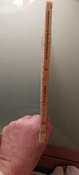 Spiderman patrulla X