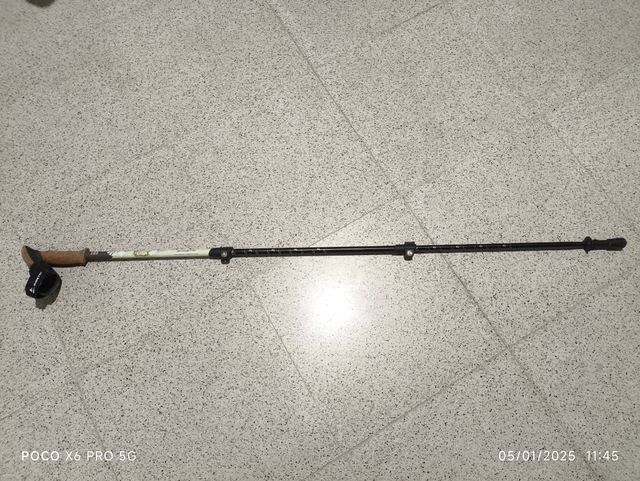 Bastón camino de Santiago