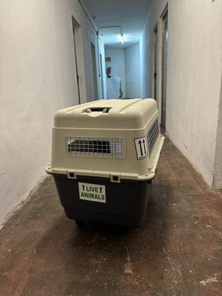 Transportin para perros homologado vuelos IATA