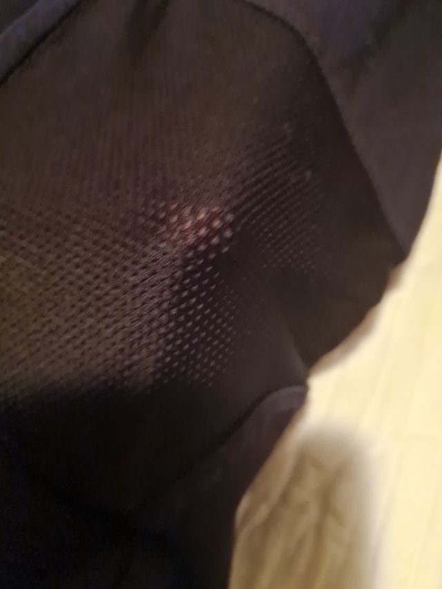 Lote de mayas calcedonia