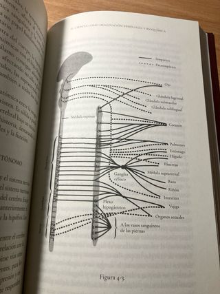 Imágenes que curan: Chamanismo y medicina moderna
