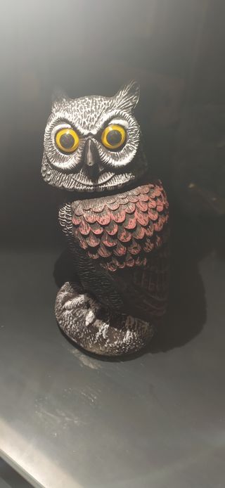 Búho para ahuyentar aves
