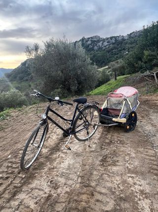 Bicicleta con carro