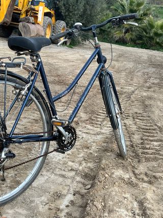 Bicicleta con carro
