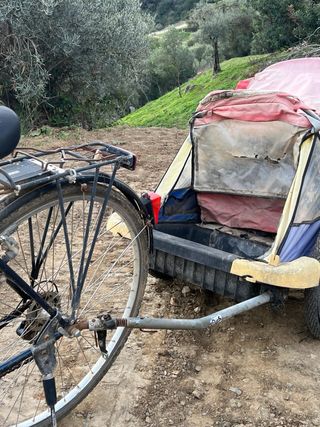 Bicicleta con carro
