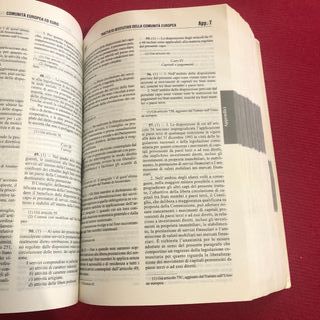 Codice Civile. Edizioni giuridiche Simone 2002