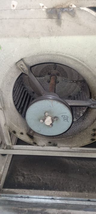 Limpieza de campanas y motores.