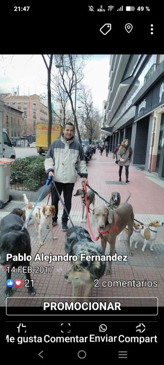 Paseador de perros
