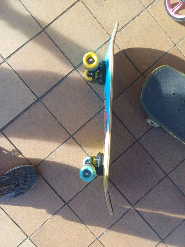 Skate monopatin