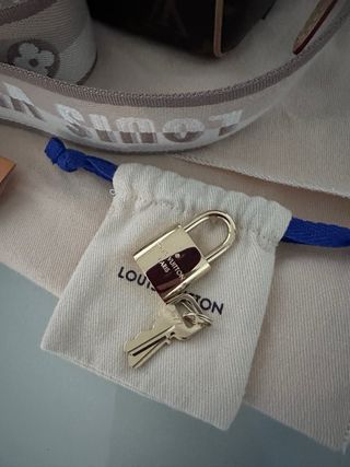 Speedy 20 louis vuitton