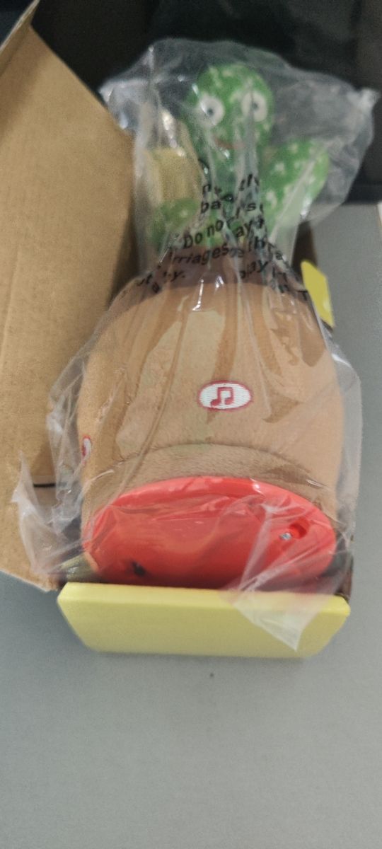 Oferton!! Cactus Bailarin