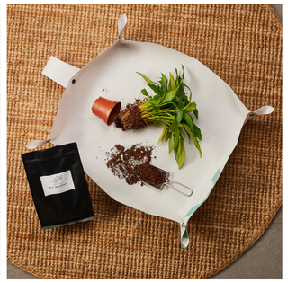 Substrato plantas interior- Soil Freshner Generosa