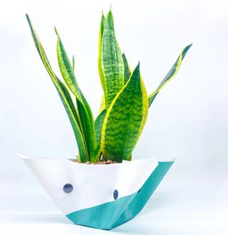 Vaso de lona reciclada- Generosa Nature