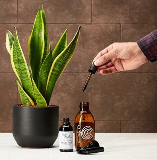 Óleo de neem Leaf Protector- Generosa Nature