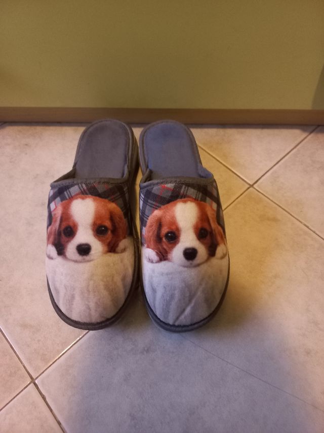 Ciabatte/pantofole invernali con disegno