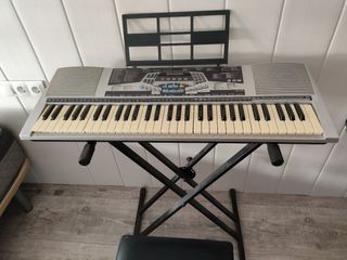 Teclado / organo electrónico 