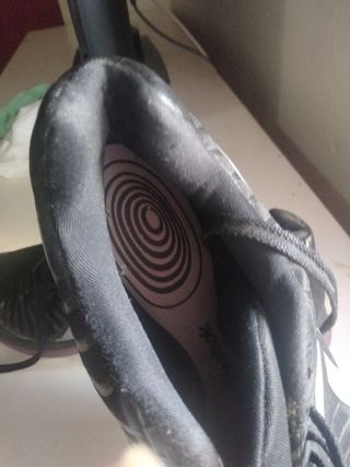 Zapatillas de mujer talla 40