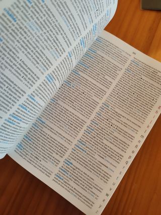 Diccionario Avanzado Primaria. Lengua española (Spanish Edition