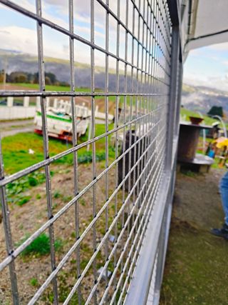 Marcha de Hércules y bloques