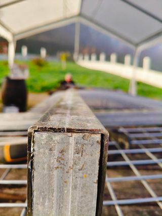 Marcha de Hércules y bloques