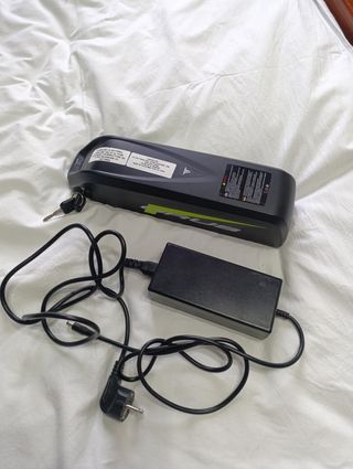 Bicicletta elettrica Orus 3100