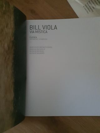 Bill Viola. Vía Mistica