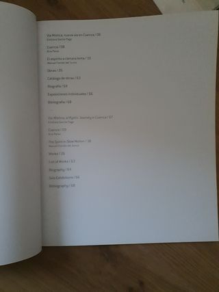 Bill Viola. Vía Mistica