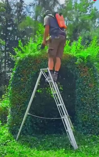 Jardinero económico