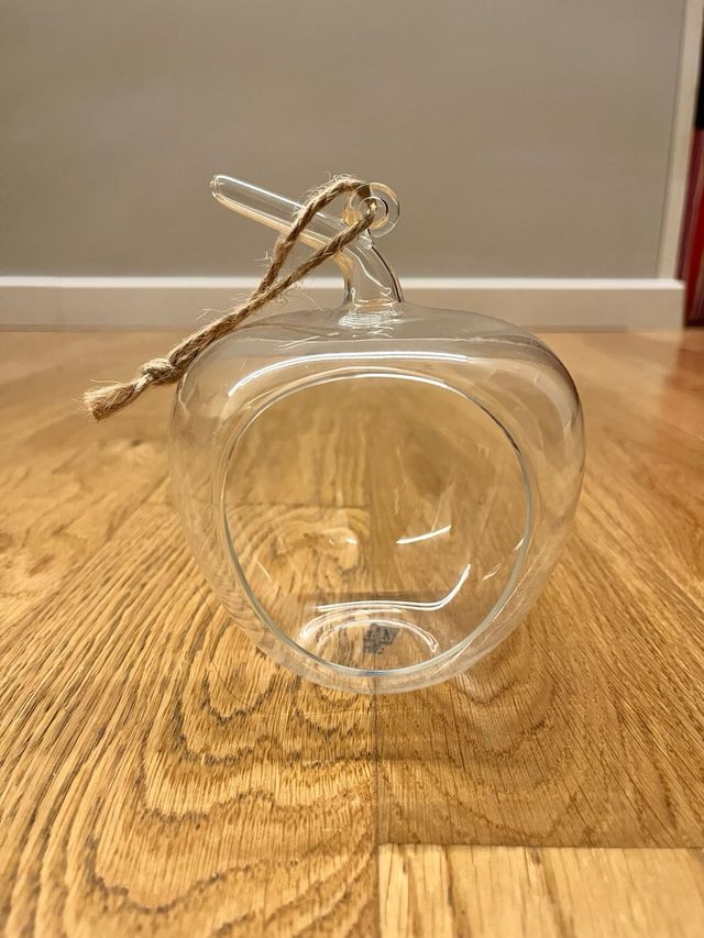 n. 3 Forme in vetro per piante da appendere