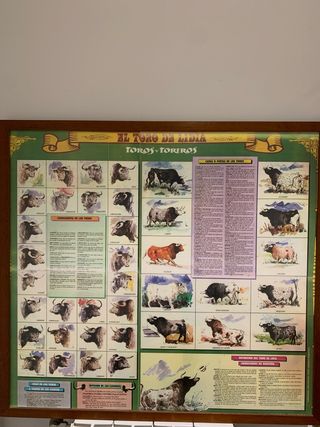 CUADRO DE TIPOS DE TOROS DE LIDIA