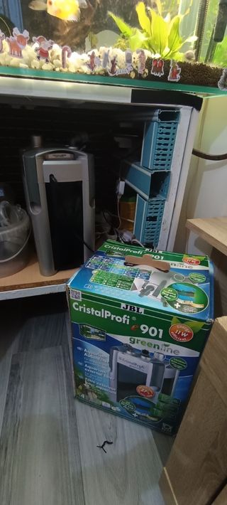 Acuario pecera