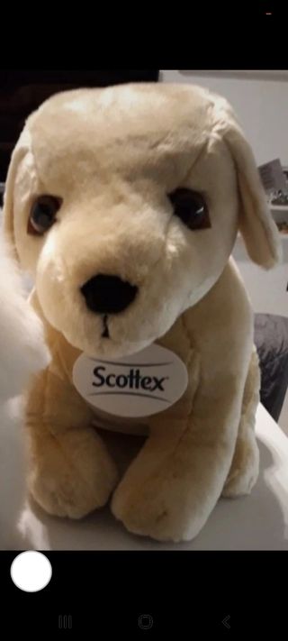 Scottex cane peluche gigante