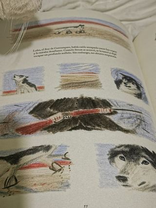 LOS LOBOS DE CURRUMPAW (El chico amarillo) (Spanish Edition)