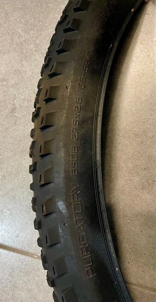 Pneumatico Specialized Purgatory