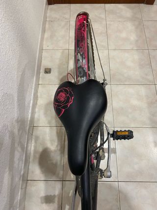 Bicicleta niña 24”