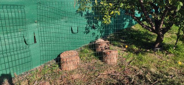 Valla rígida y postes verde y blancos