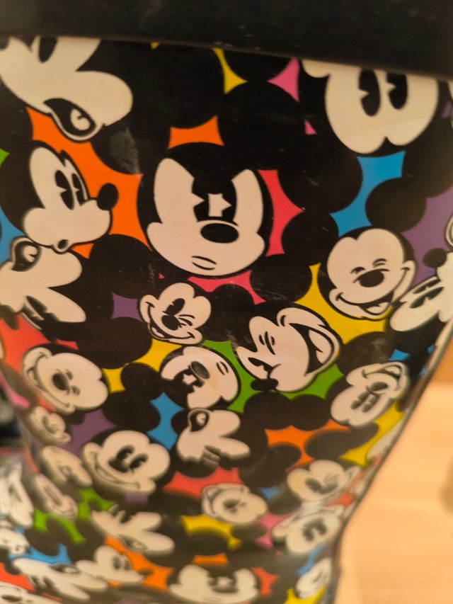 Botas de agua de Disney